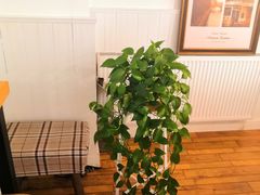 -Cafe Villa