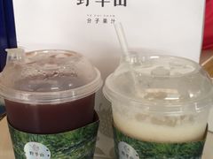 -野萃山·潮汕厚果汁(十亩地店)