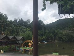 -西双版纳原始森林公园