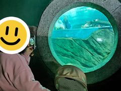 -苏州海洋馆