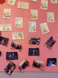 -Bollins波林丝•专研护发中心