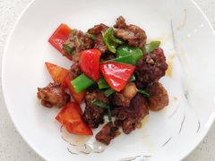 -田螺阿姨自营月嫂·育儿嫂(高新店)