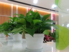 -美年大健康体检(滨江分院)