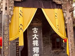 -大槐树寻根祭祖园