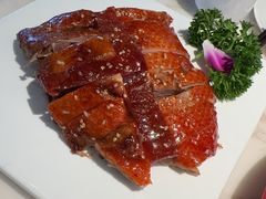 -茅庐毛血旺(烟台大悦城店)