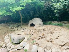 -上海野生动物园