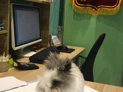 -雨林宠物医院 非犬猫异宠专科