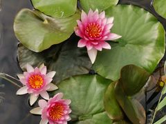 -天津东丽湖风景区