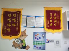 -特一安24小时宠物医院·骨科·中兽医