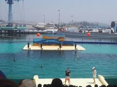 -北戴河圣蓝海洋公园