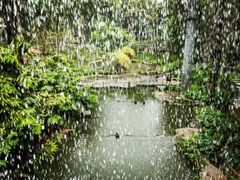-吉隆坡雀鸟公园