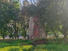 -长白岛森林公园