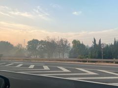 -北宅大永樱桃采摘基地(崂山总部)