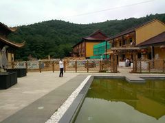 -亭林园-华藏寺