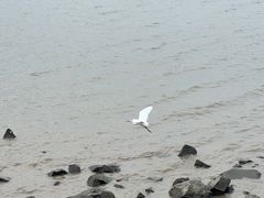 -深圳湾公园(南山区)