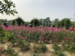 -尚贤河湿地