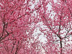 -白塘生态植物园
