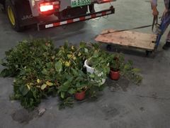 -蚂蚁搬家成都打包搬运公司