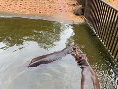 -海南热带野生动植物园