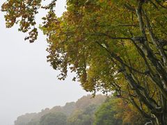 -北山街历史文化街区
