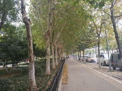 -后襄河公园