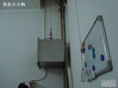 有菜下来了-芳芳餐厅(白沙路店)