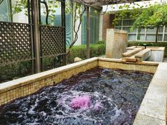 -春晖园度假酒店温泉