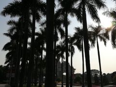 -顺峰山公园