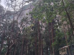 -雁荡山风景名胜区
