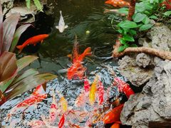 -白天鹅宾馆·流浮阁咖啡厅