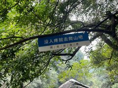 -石台牯牛降景区