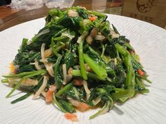 -雀舞云南菜(天津天河城购物中心店)