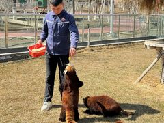 -水上乐园·欢乐世界