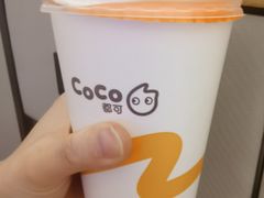 -CoCo都可(宝龙店)
