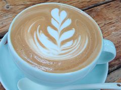 -北马山庄植趣咖啡