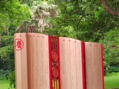 -番禺大夫山森林公园