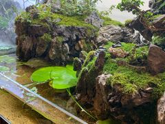 -聚缘堂·海鲜私房菜(松岭路店)