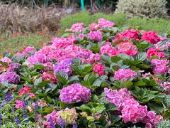 -广州市白云山风景名胜区