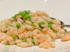 -西郊5号·Maggie 5