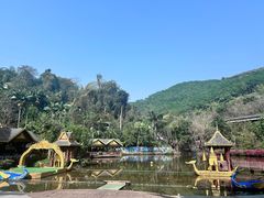-西双版纳原始森林公园