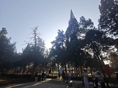 -中岳庙