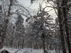 -雪谷