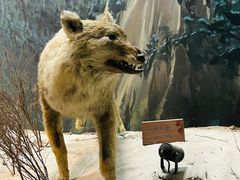 -陕西自然博物馆