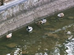 -迎泽公园