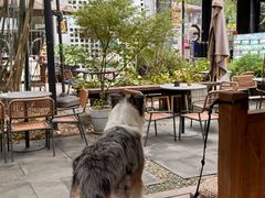 -扫雪煮茶(西村店)