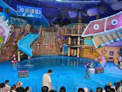 -烟台海昌鲸鲨海洋公园