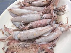 -明记海鲜大排档(巽寮湾店)