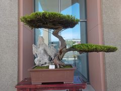 -上海植物园-4号门售票处