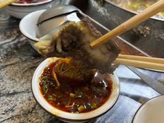 -乳仔牛牦牛汤锅 烤羊排(松潘古城店)