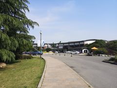 环境-同里湖大饭店-怡景轩中餐厅(同里古镇店)